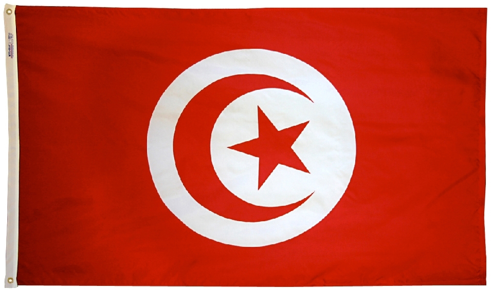 Buy Tunisia - 4'X6' Nylon Flag | Flagline