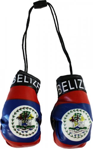 Rear view mirror boxing gloves deals